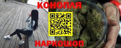Альфа ПВП Пыть-Ях