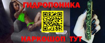 spice Партизанск