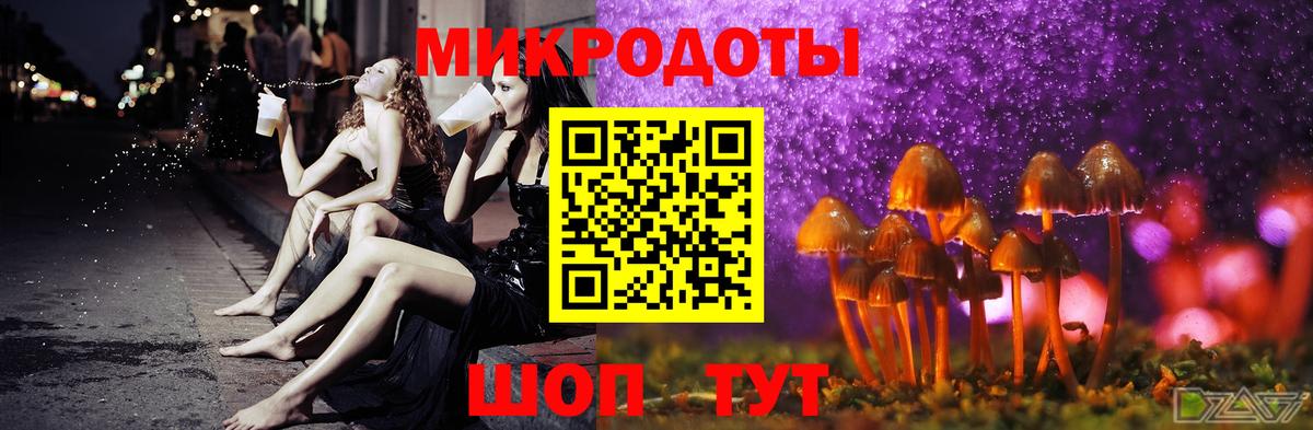 Псилоцибиновые грибы прущие грибы Сергиев Посад
